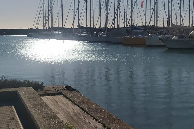 Private Transport from Civitavecchia Port to Rome or vice versa - Timing: waiting rules, pickup windows, and cruise reality