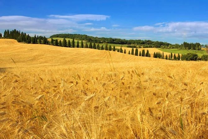 Private: Tuscany Day Tour from Rome with Optional Wine Tasting - Optional winery visit and wine tasting: control the pace, avoid the rush
