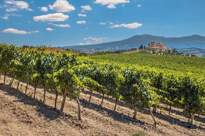 Private: Tuscany Day Tour from Rome with Optional Wine Tasting - How I’d plan lunch in Pienza when it’s on you
