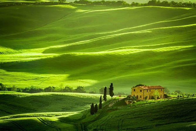 Private: Tuscany Day Tour from Rome with Optional Wine Tasting - Montepulciano: hilltop walking time around Vino Nobile country