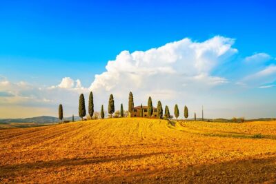 Private Tuscany Wine Country Day Trip from Rome with Lunch - Montepulciano: cobblestones, wine identity, and an underground cellar