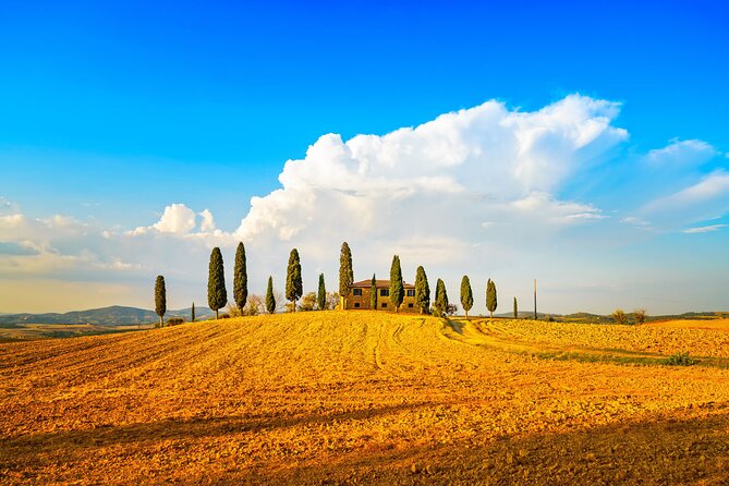 Private Tuscany Wine Country Day Trip from Rome with Lunch - Montepulciano: cobblestones, wine identity, and an underground cellar