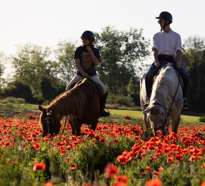 Ride in Rome with meal and wine included - Optional add-ons: extend the night and hire a photographer