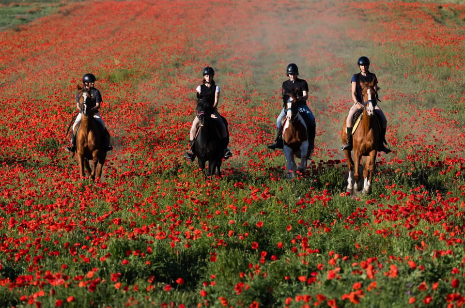 Ride in Rome with meal and wine included - The morning rhythm: breakfast, meeting the rescue horses, and prep work