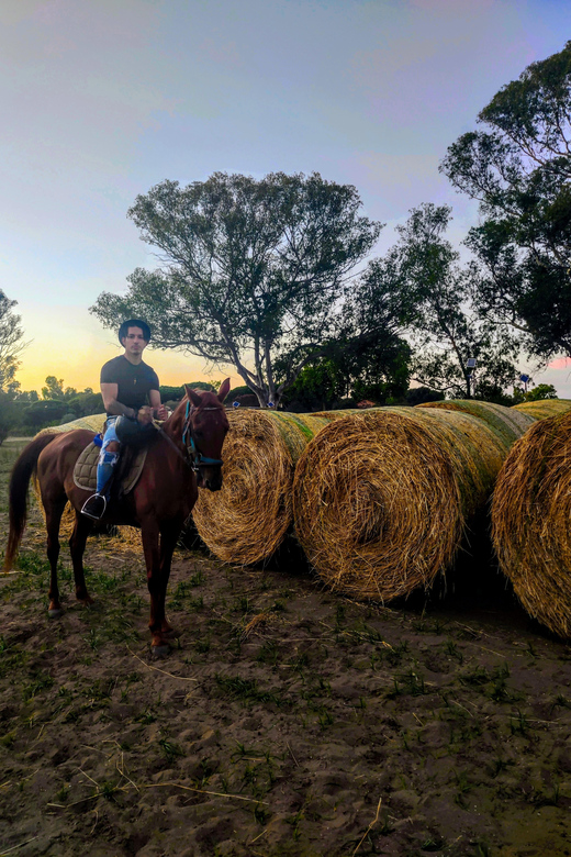 Ride in Rome with meal and wine included - Riding to Ostia Antica: pinewood trails, harbour ruins, and a real change of pace