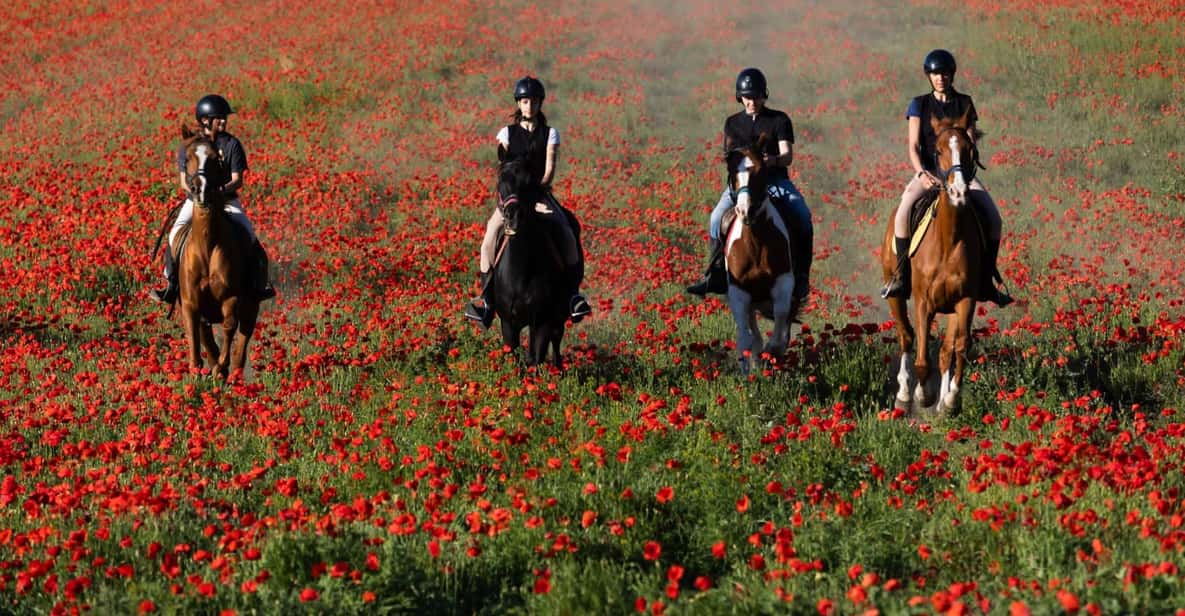 Ride in Rome with meal and wine included - Stop-by-stop: how the day flows (and what each moment is for)