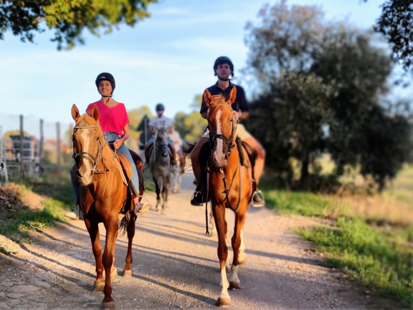 Ride in Rome with meal and wine included - Lunch and wine: Italian food with a coast-side pause