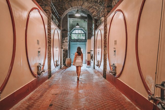 Roman countryside Food & Wine Tasting in a medieval winery - Wine Tasting With a Trained Sommelier: How You Taste the Right Way