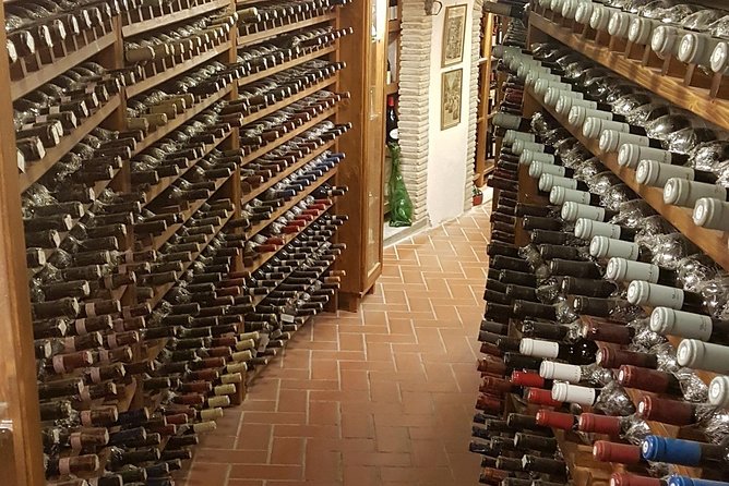 Roman Countryside: Wine and Food Tasting, Private Day Tour - Pickup and the air-conditioned minivan ride (aka the comfort tax you don’t notice)