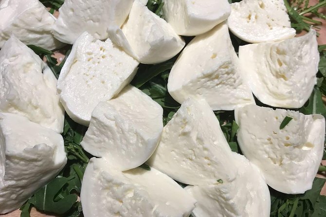Roman Food Tour with Visit to the Trionfale Food Market - Il Segreto for Pasta and Wine: The Sit-Down Payoff