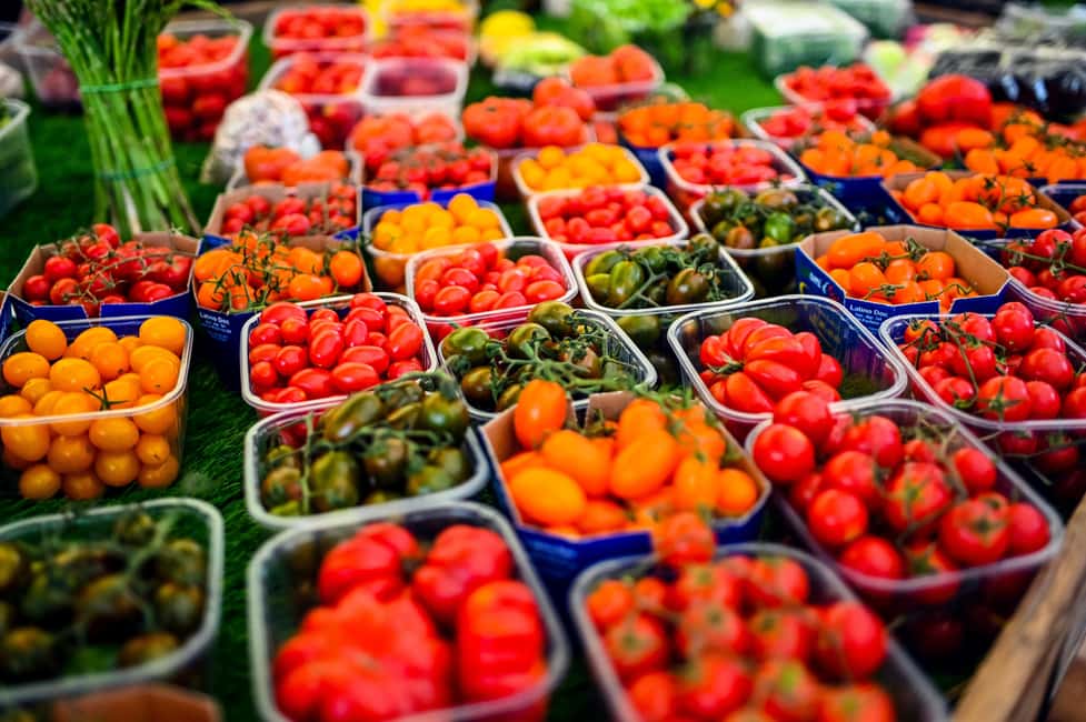 Rome: 3-Hour Guided Food Tour with Tastings - Should you book this Rome 3-hour guided food tour with tastings?