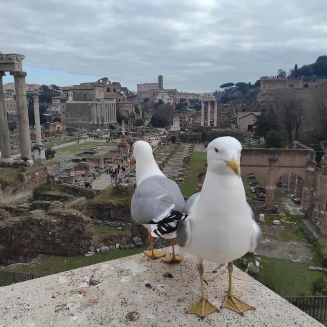 Rome: 4-Hour Private Tour with Driver - Catacombs of Rome and Circus Maximus: Ancient Entertainment, Off the Main Script