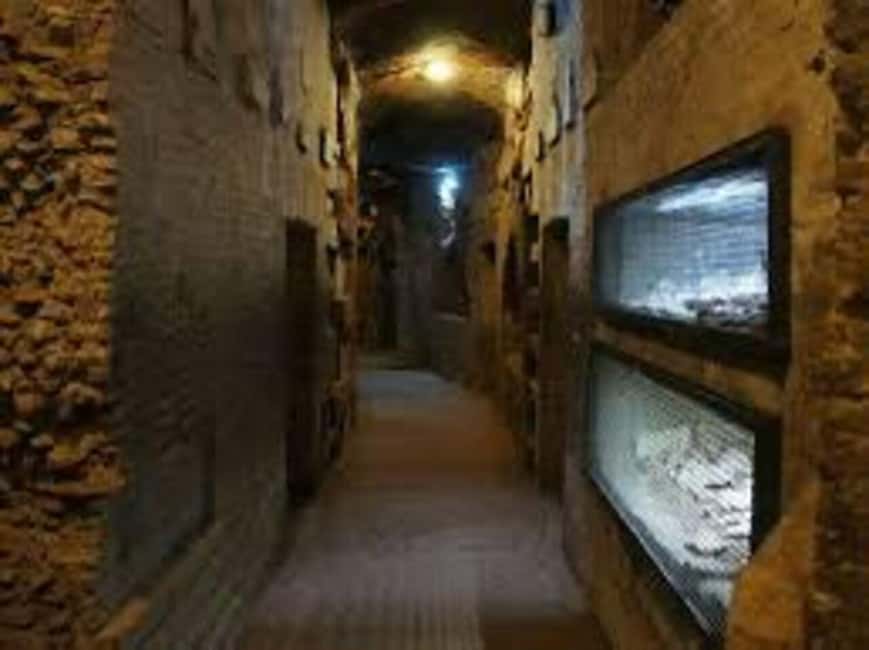 Rome: Appian Catacombs tour with transfere - Who this tour suits best (and who should skip it)
