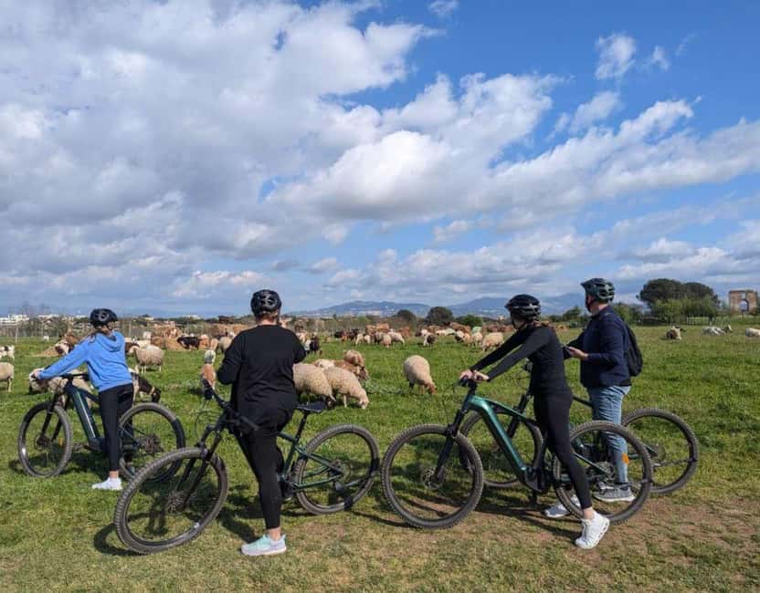 Rome: Appian Way, Aqueducts, & Catacombs E-Bike Guided Tour - Price and Value: What You’re Actually Paying For