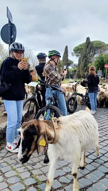 Rome: Appian Way, Aqueducts, & Catacombs E-Bike Guided Tour - Group Tour vs Private Tour: How to Choose Your Best Fit