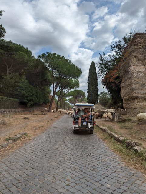 Rome: Appian Way & Catacombs Golf Cart Shared Tour - Circus of Maxentius: from ancient spectacle to modern references
