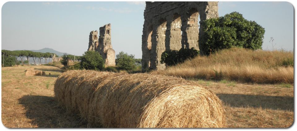 Rome: Appian Way E-Bike Tour Catacombs, Aqueducts & Picnic - Key things to know before you go