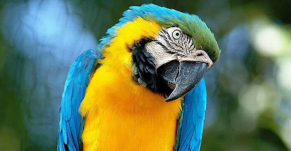 Rome: Bioparco di Roma Zoological Garden Entry Ticket - How long to stay and how to pace the 42-acre grounds