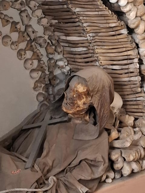 Rome: Bone Crypts Express - Tour in ENGLISH with tickets - Bone Crypts in One Hour: Why This Express Tour Works
