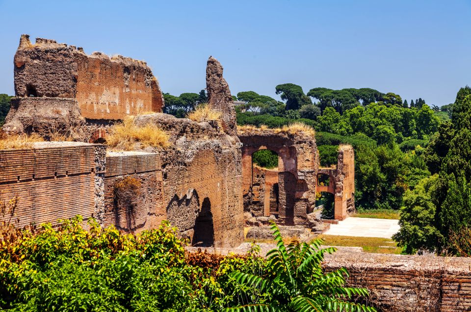 Rome: Caracalla, Colosseum, Circus Maximus Private Tour - Key Highlights You’ll Feel During This 3-Site Route