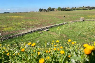 Rome: Castelli Romani Day Trip by Train and E-Bike - Catching the Train to Castel Gandolfo: Fast Out of the City