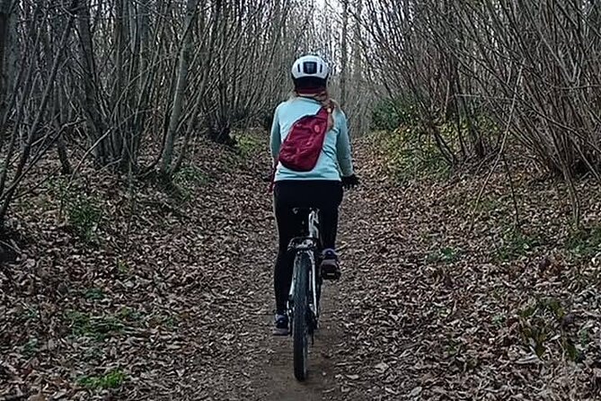 Rome: Castelli Romani Day Trip by Train and E-Bike - The Appian Way Feel: Why This Route Matters