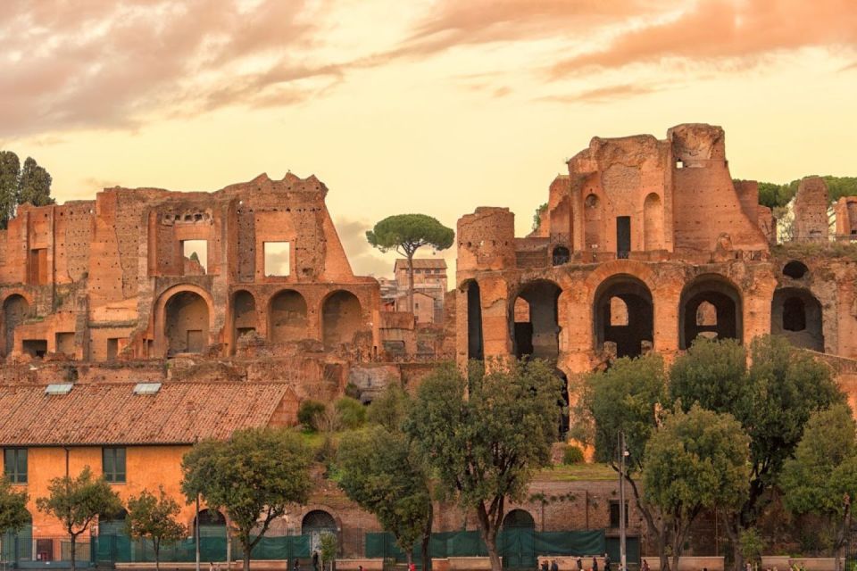 Rome: Colosseum Arena and Ancient Rome Guided Tour - Palatine Hill: 40 meters up, with real views of ancient Rome