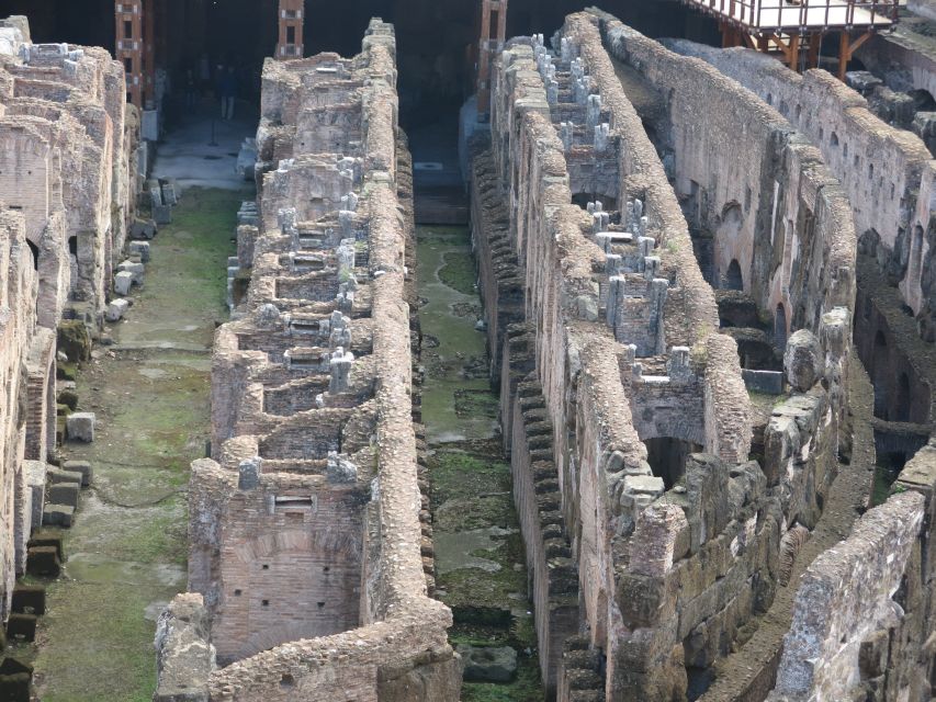 Rome: Colosseum Arena Floor, Roman Forum & Palatine Tour - First And Second Tiers: Where The Wealthy Sat