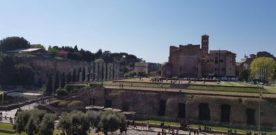 Rome: Colosseum Arena, Forum & Palatine Hill Private tour - Arena floor moments and the dungeons view