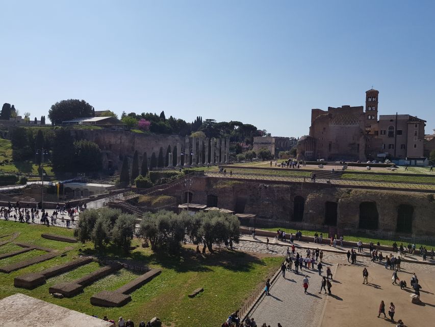Rome: Colosseum Arena, Forum & Palatine Hill Private tour - Meeting point and getting there without stress