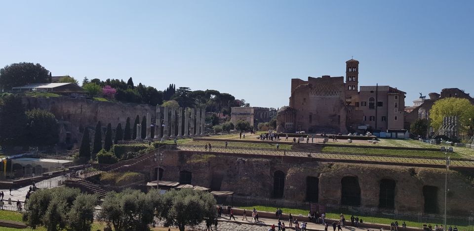 Rome: Colosseum Arena, Forum & Palatine Hill Private tour - Arena floor moments and the dungeons view