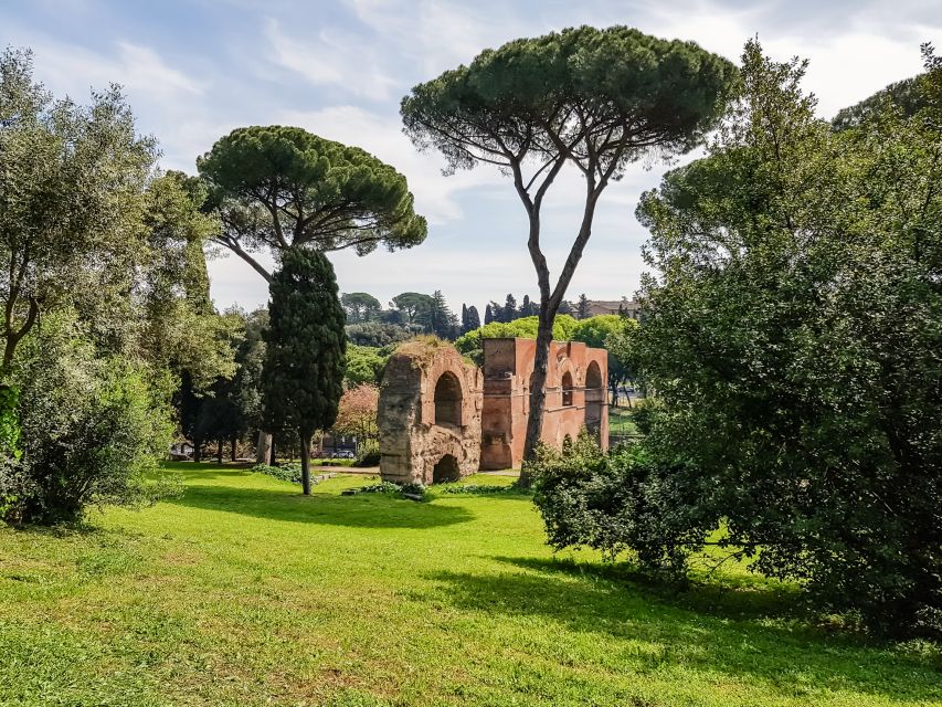 Rome: Colosseum Arena, Palatine Hill & Forum Guided Tour - Arena floor access: what the option gives you