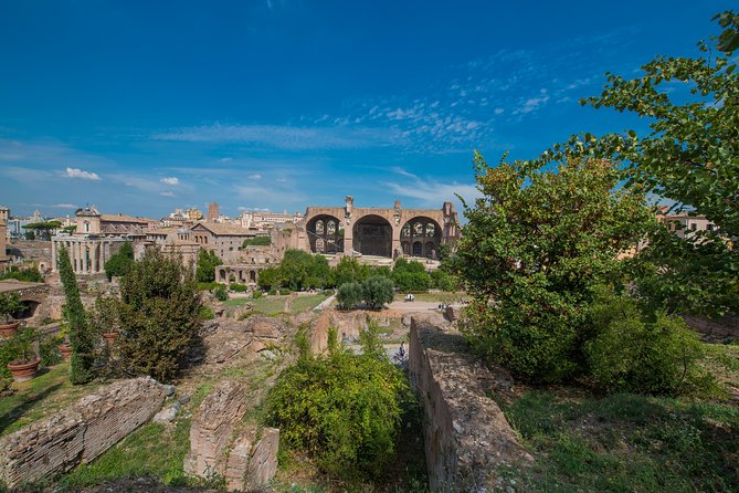 Rome: Colosseum Arena, Roman Forum & Palatine Hill Tour - Entering the Colosseum: Gladiator’s Gate and Arena Access