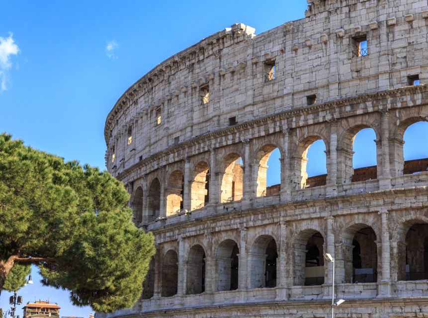 Rome: Colosseum, Forum and Palatine Hill Private Guided Tour - Roman Forum via Via Sacra: the walk through power