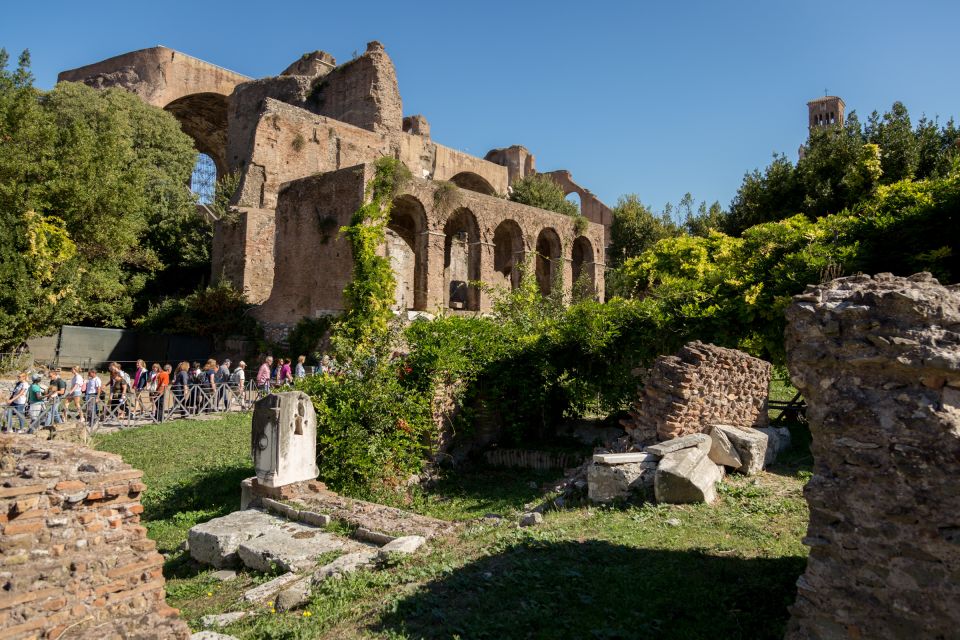 Rome: Colosseum, Forum and Palatine Hill Private Guided Tour - Price and value: $619.95 per group up to 2