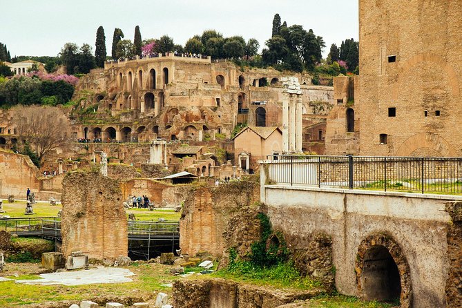 Rome Colosseum & Forum PRIVATE TOUR with a Local Private Guide - Why this private Colosseum and Forum tour works so well