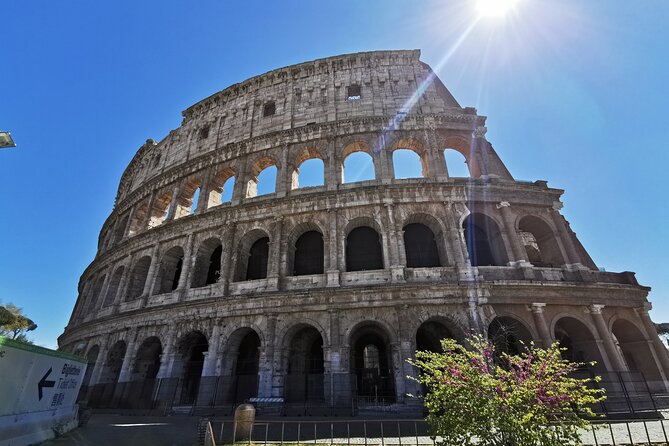 ROME: colosseum gladiator arena forum& palatine guided tour - Stepping into the Colosseum from the inside out