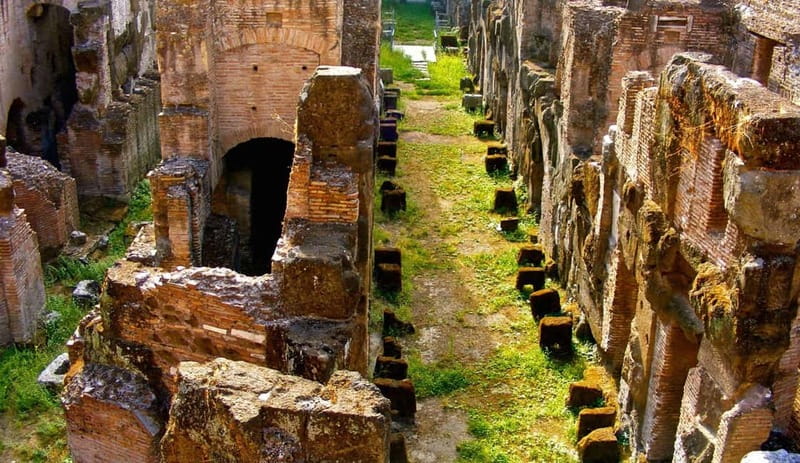 Rome: Colosseum Gladiator's Arena and Roman Forum Tour - Practical Stuff That Makes the Day Go Smoothly