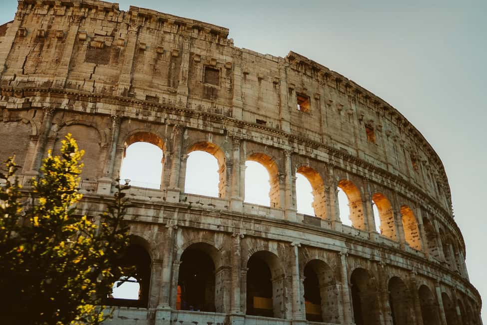 Rome: Colosseum, Palatine Hill, and Forum Guided Experience - Arena-level walk vs. what’s not included