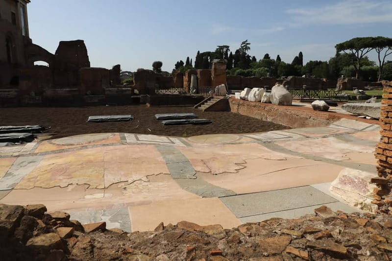 Rome: Colosseum & Roman Forum Guided Tour - Heat, pace, and how the guide keeps it workable