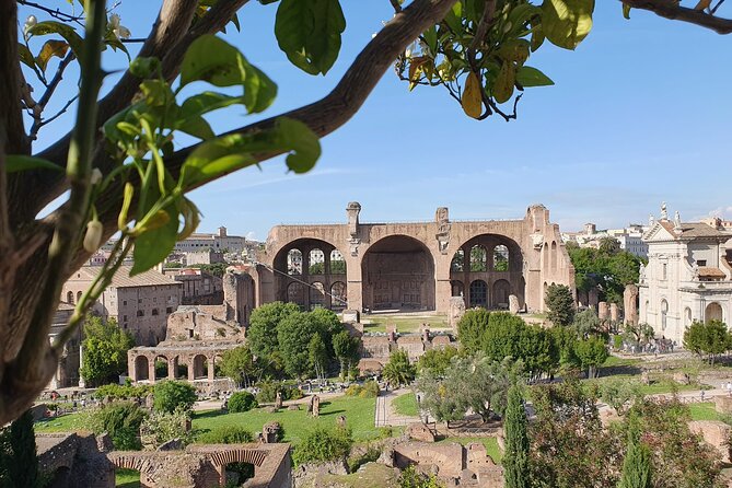 Rome: Colosseum, Roman Forum & Palatine Hill Experience - Roman Forum: where the ruins start to make sense
