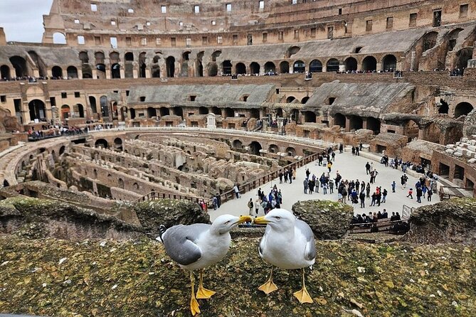 Rome: Colosseum, Roman Forum & Palatine Hill Visit + Audio Guide - Price and Value: When This Booking Makes Sense