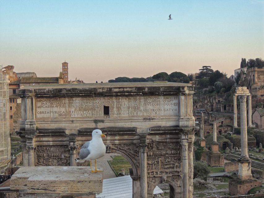 Rome: Colosseum with Arena Floor, Forum & Palatine Hill Tour - Colosseum arena floor: the moment it clicks