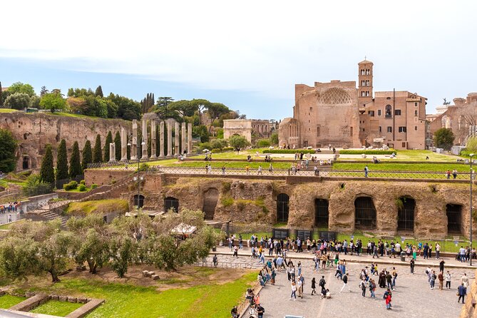 Rome: Colosseum with Roman Forum & Palatine Hill Guided Tour - Should You Book This Colosseum, Forum, And Palatine Hill Tour?