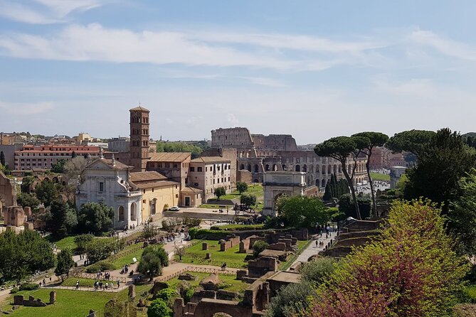 Rome Colosseum,Palatine Hill and Roman Forum Guided Tour - Price and what you’re really paying for ($54.19)