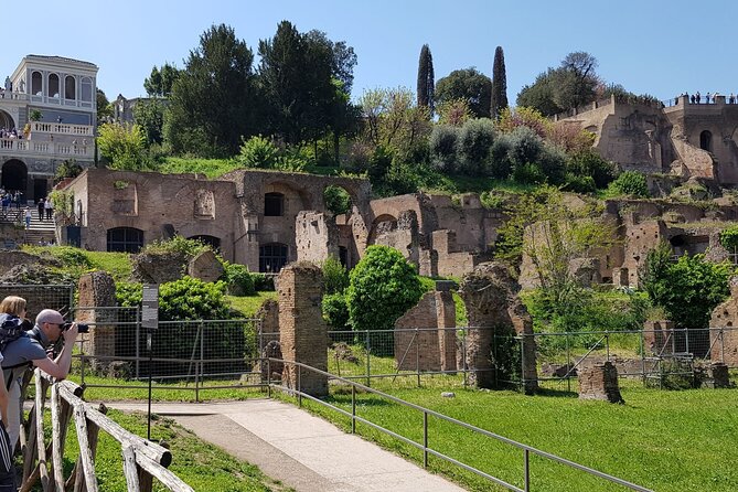Rome Colosseum,Palatine Hill and Roman Forum Guided Tour - Why the group size and pacing can be a deciding factor