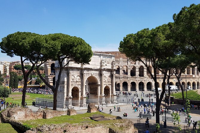 Rome Colosseum,Palatine Hill and Roman Forum Guided Tour - Entering the Colosseum: gladiators, the arena, and why the guide makes it click