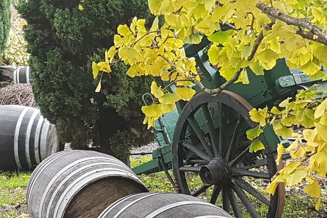 Rome Countryside Delights: Exclusive Wine Tasting Tour - Price check: what $223.96 per person buys you