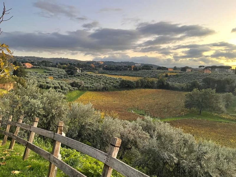 Rome Countryside: Wine Tasting Tour with Private Driver - Key Points That Make This Tour Worth Your Time
