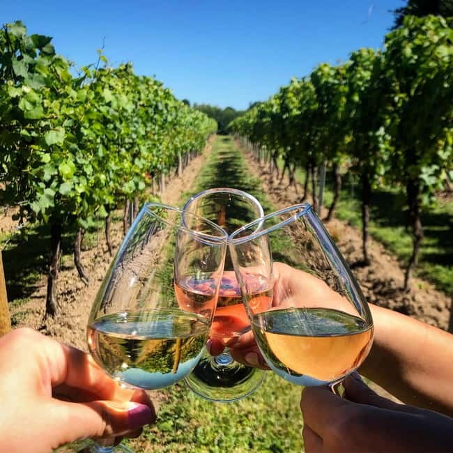 Rome Countryside: Wine Tasting Tour with Private Driver - A Private-Driver Wine Escape From Rome to Frascati